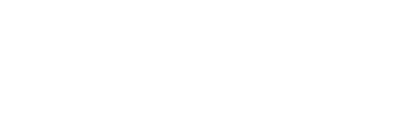 Bizum - Método de Pago